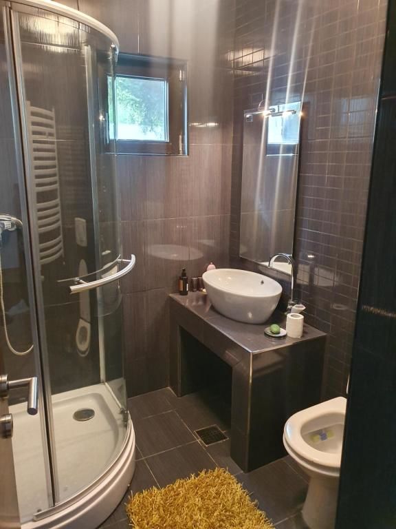 Виллы By the lake Villa Snagov Снагов-58